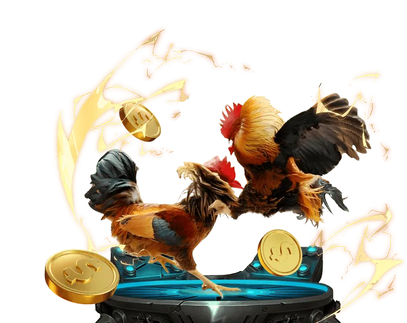 Chiến thuật đá gà Thomo